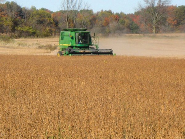 110+/- Acres offered in 4 Tillable Tracts
